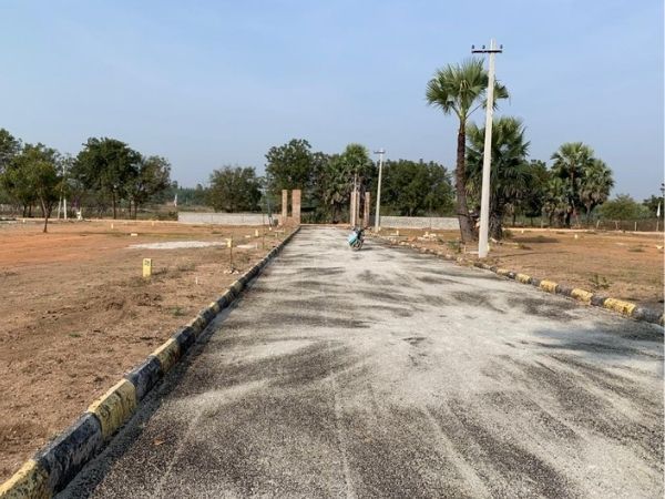 ventures in wangapalli